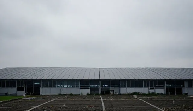 汽车装饰改装中保养要点的适用条件与选择依据